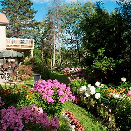Gite Au Pied Du Courant De Gilbert Desjardins Mont-Laurier Buitenkant foto