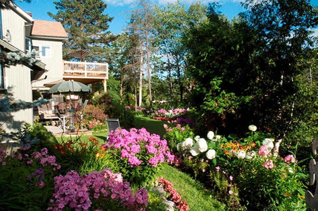 Gite Au Pied Du Courant De Gilbert Desjardins Mont-Laurier Buitenkant foto