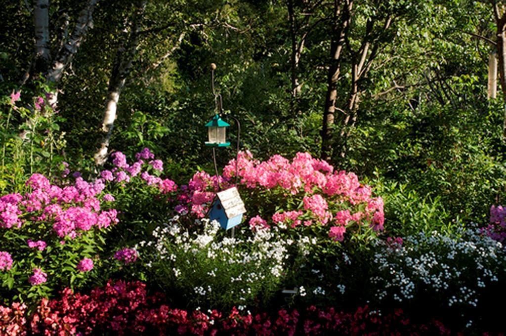 Gite Au Pied Du Courant De Gilbert Desjardins Mont-Laurier Buitenkant foto